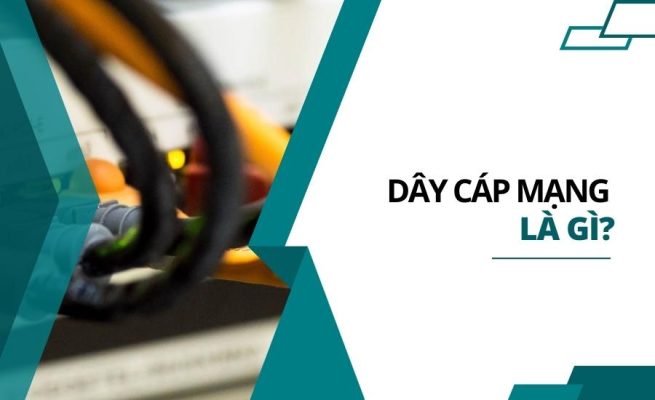 day-cap-mang