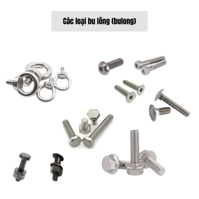 cac-loai-bu-long