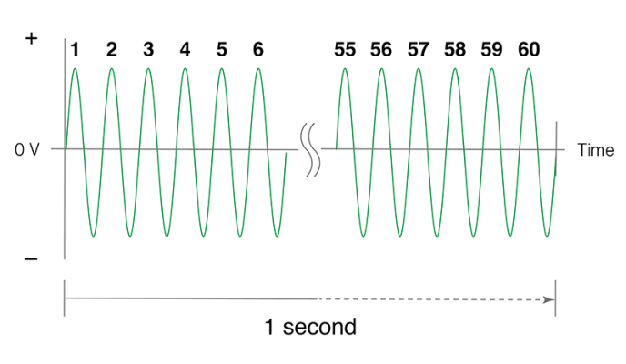 tan-so-la-gi